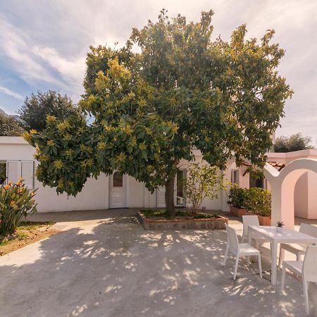 Casa Yucca Villa Forio di Ischia Exterior foto