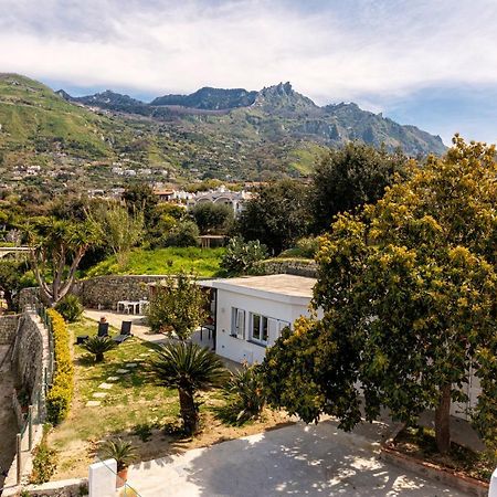 Casa Yucca Villa Forio di Ischia Exterior foto