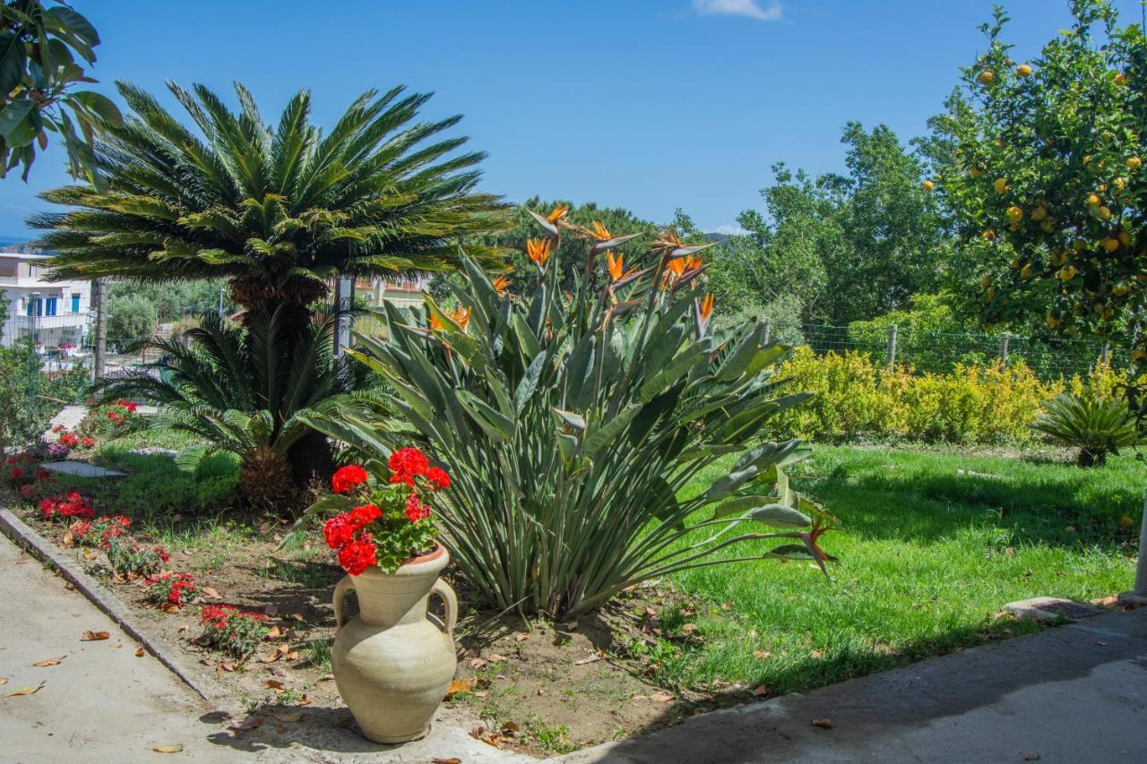 Casa Yucca Villa Forio di Ischia Exterior foto