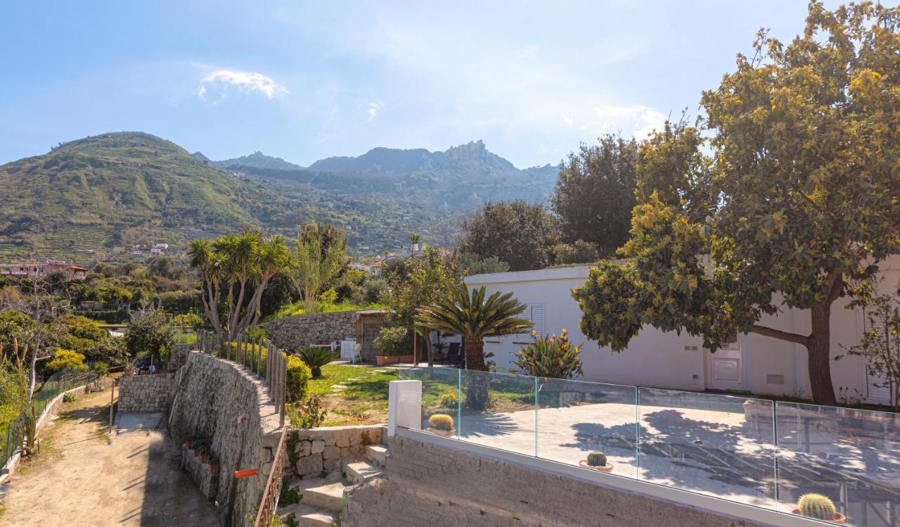 Casa Yucca Villa Forio di Ischia Exterior foto