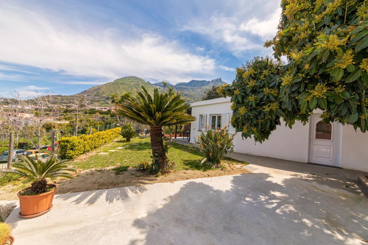 Casa Yucca Villa Forio di Ischia Exterior foto