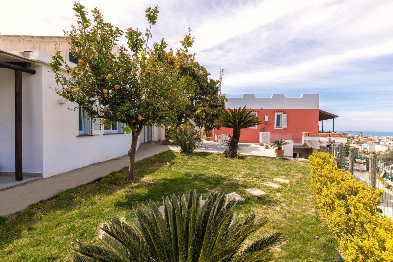 Casa Yucca Villa Forio di Ischia Exterior foto