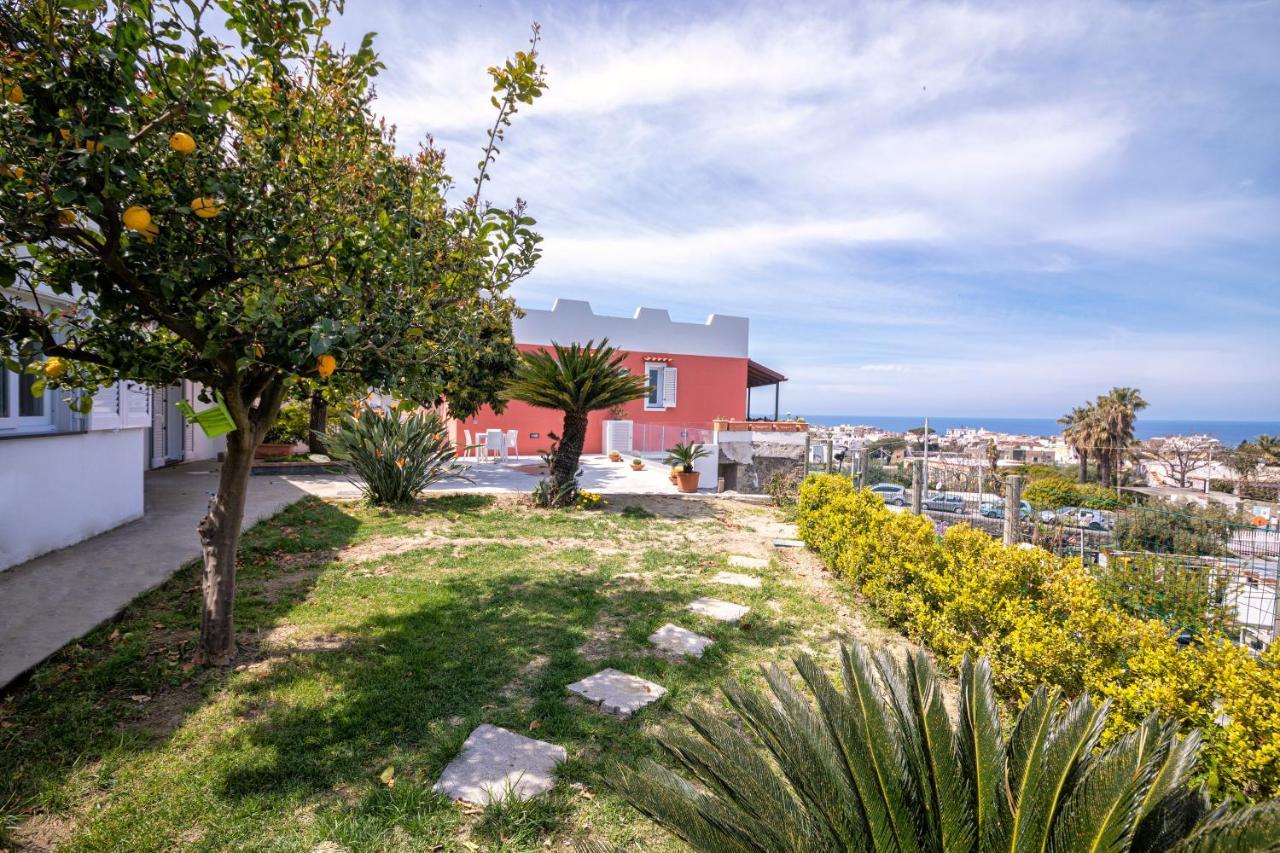Casa Yucca Villa Forio di Ischia Exterior foto