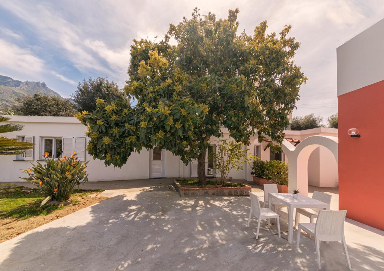 Casa Yucca Villa Forio di Ischia Exterior foto
