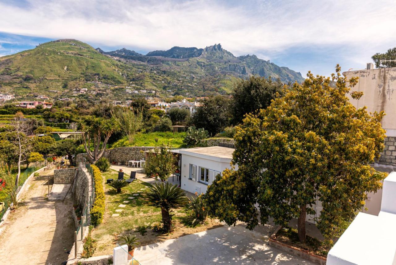 Casa Yucca Villa Forio di Ischia Exterior foto